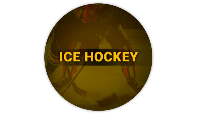 Betting on ice hockey at BetVisa betting site - what tournaments are there